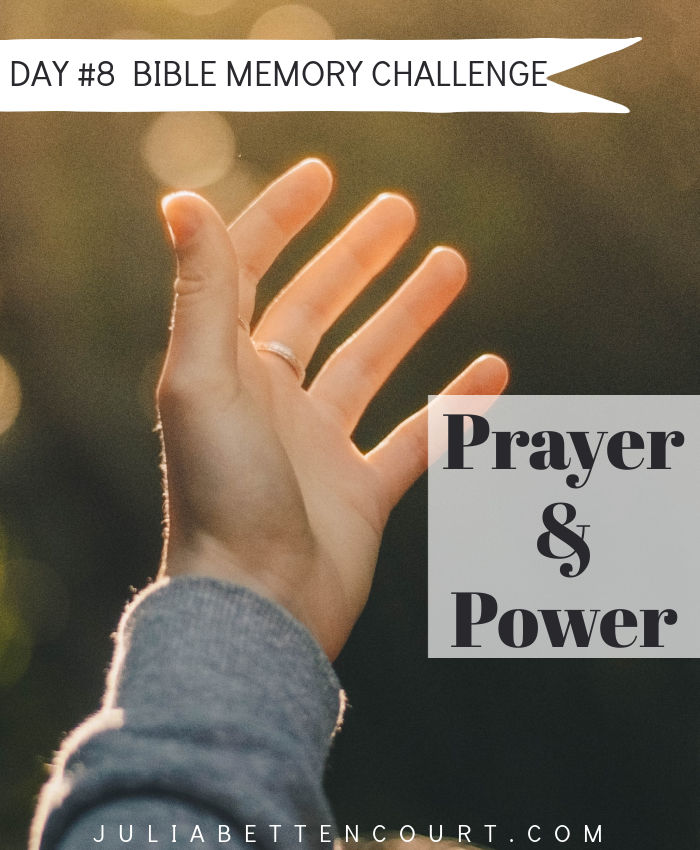 Prayer and Power Bible Challenge